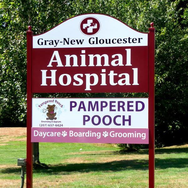 Gray Maine pet hospital
