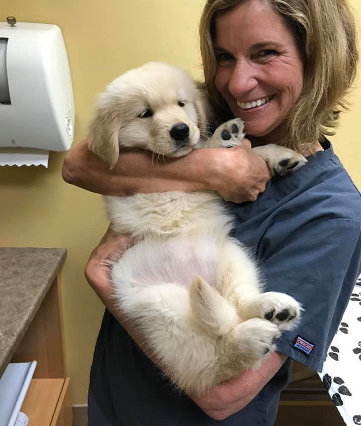 Veterinarian with Dog