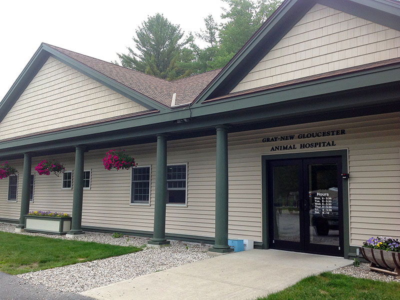 veterinary hospital in Gray